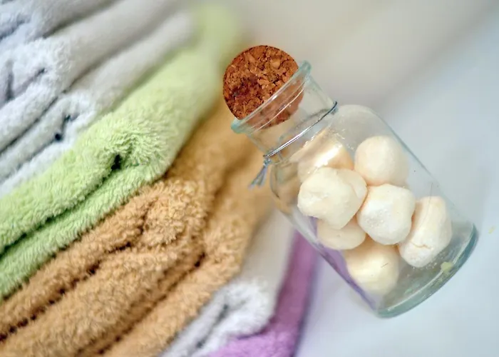 Full Equipped Flat Close To * Split