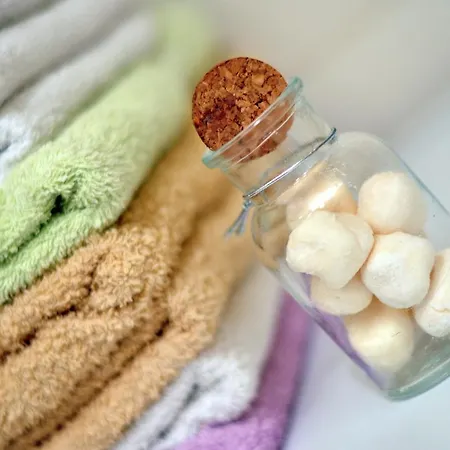 Full Equipped Flat Close To * Split